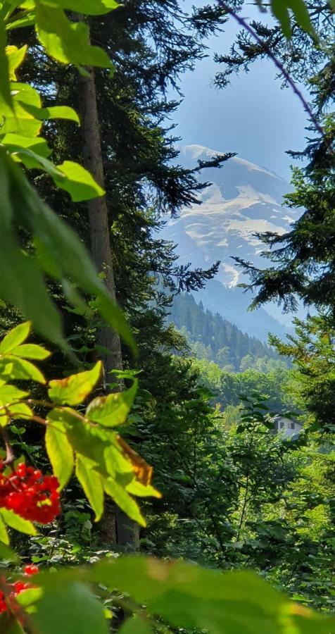 Апартаменти Castel De Roches Сен-Жерве-ле-Бен Екстер'єр фото